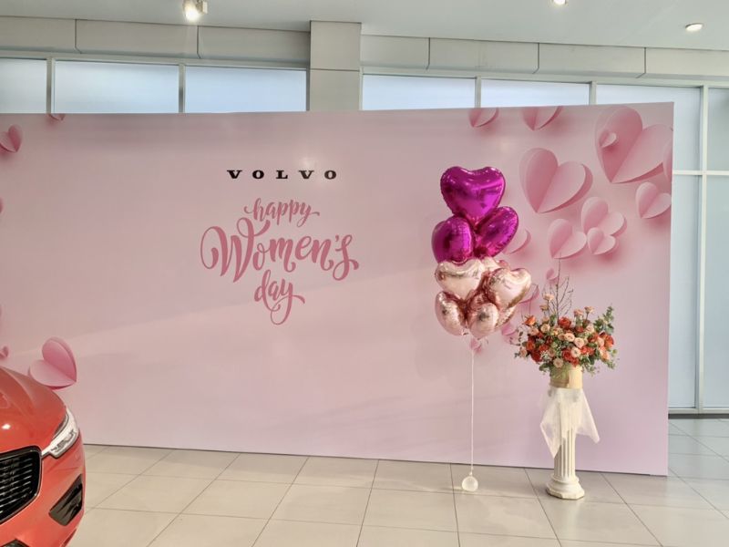 Backdrop 8/3 mẫu 5