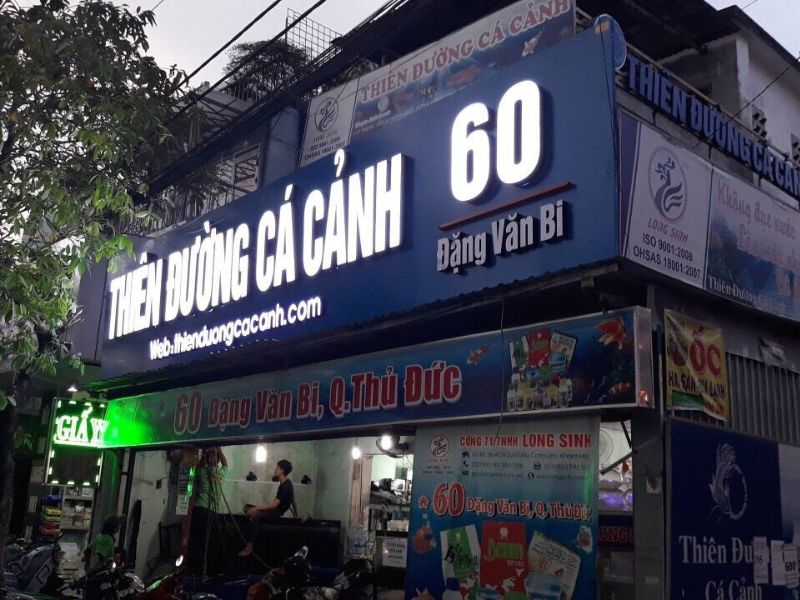 Mẫu 2 Bảng Hiệu Cá Cảnh