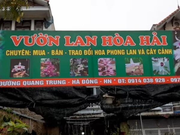 Bảng hiệu vườn lan